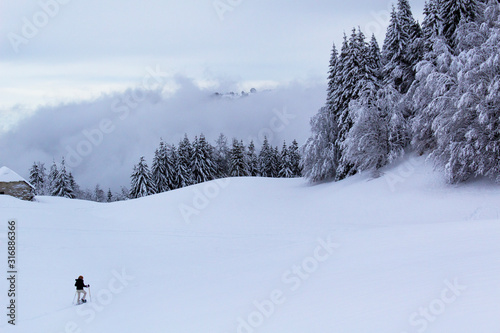 skiing in the alps mountains beautiful white snow landsacpe ski sports