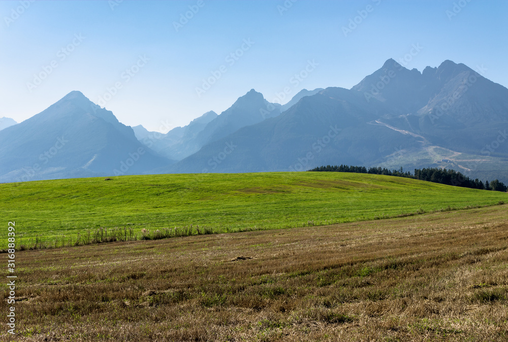 rural landscape of slovakia in summer. empty wheat field in august. high tatras mountain ridge in the distance. sunny weather with clouds on the sky rural landscape of slovakia in summer. empty wheat field in august. high tatras mountain ridge in the distance. sunny weather with clouds on the sky