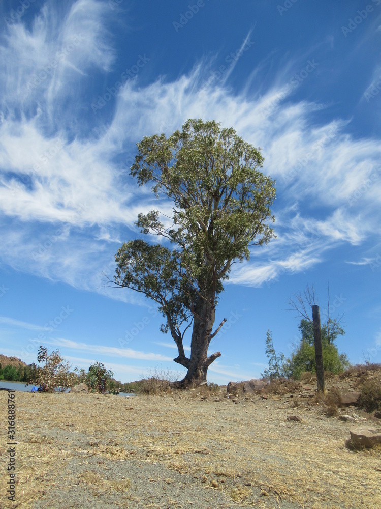 Obraz premium Beautiful nature.