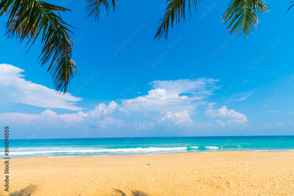 Tranquil sea beach blue sky turquoise water with green coconut palm tree leaf
