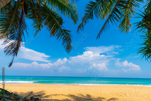 Fototapeta Naklejka Na Ścianę i Meble -  Tranquil sea beach blue sky turquoise water with green coconut palm tree leaf