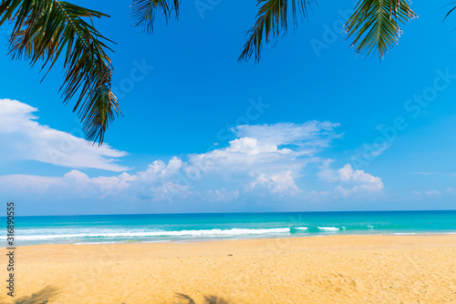 Fototapeta Naklejka Na Ścianę i Meble -  Tranquil sea beach blue sky turquoise water with green coconut palm tree leaf