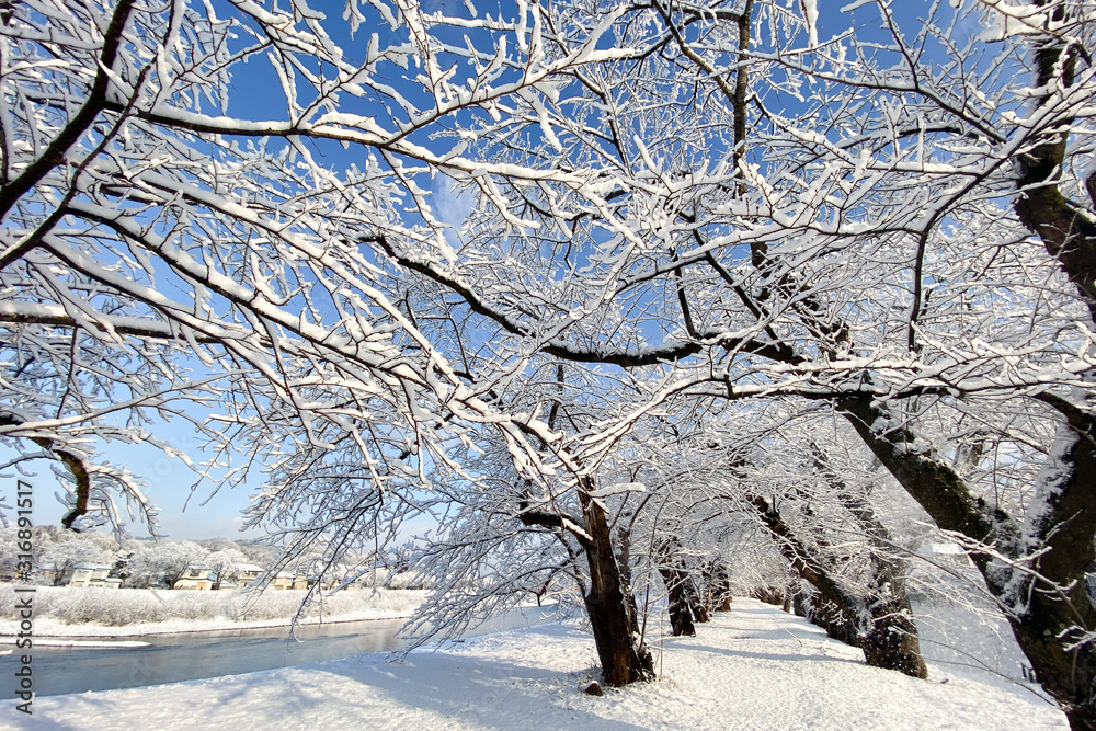 秋田県角館 冬の雪景色 秋田県角館 冬の雪景色