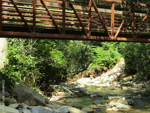 wooden bridge