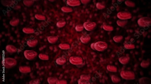 Red blood cells floating through blood and circulating in the vessels. Medical concept. 3D rendering vein and artery. Health care. Loop animation.