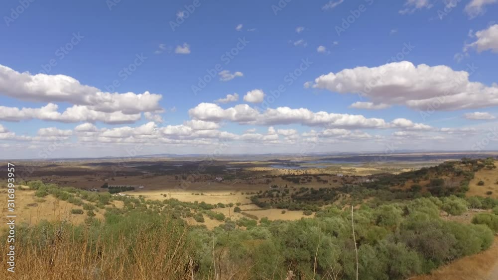 cork oaks forest field in Alentejo, portugal 4k cork oaks forest field in Alentejo, portugal 4k