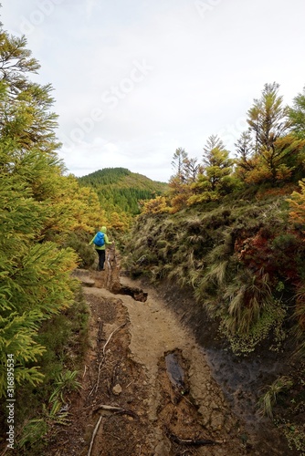 Azoren - São Miguel - Lagoas Empadadas - Wanderweg photo