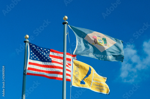 State Flag of Delaware photo