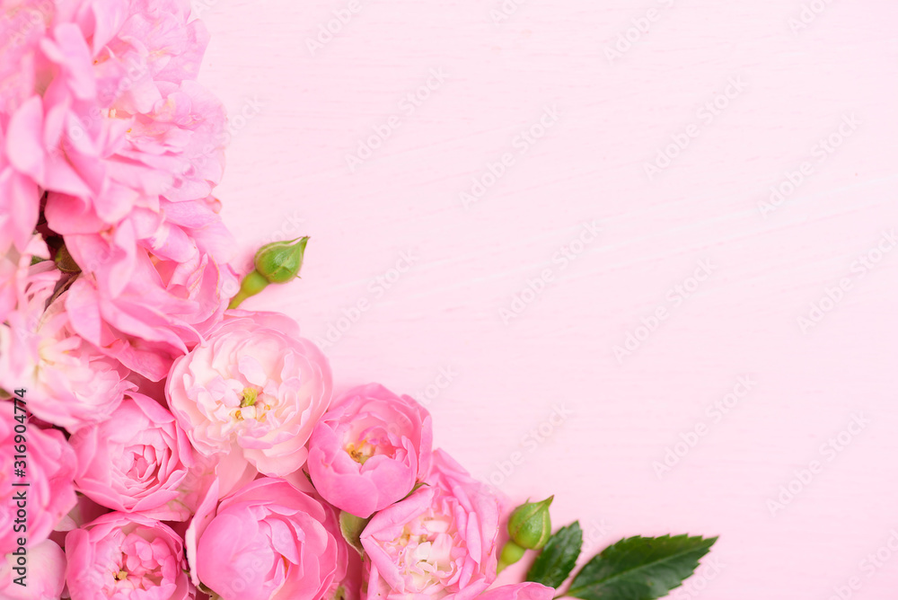 Beautiful pink roses on pink background