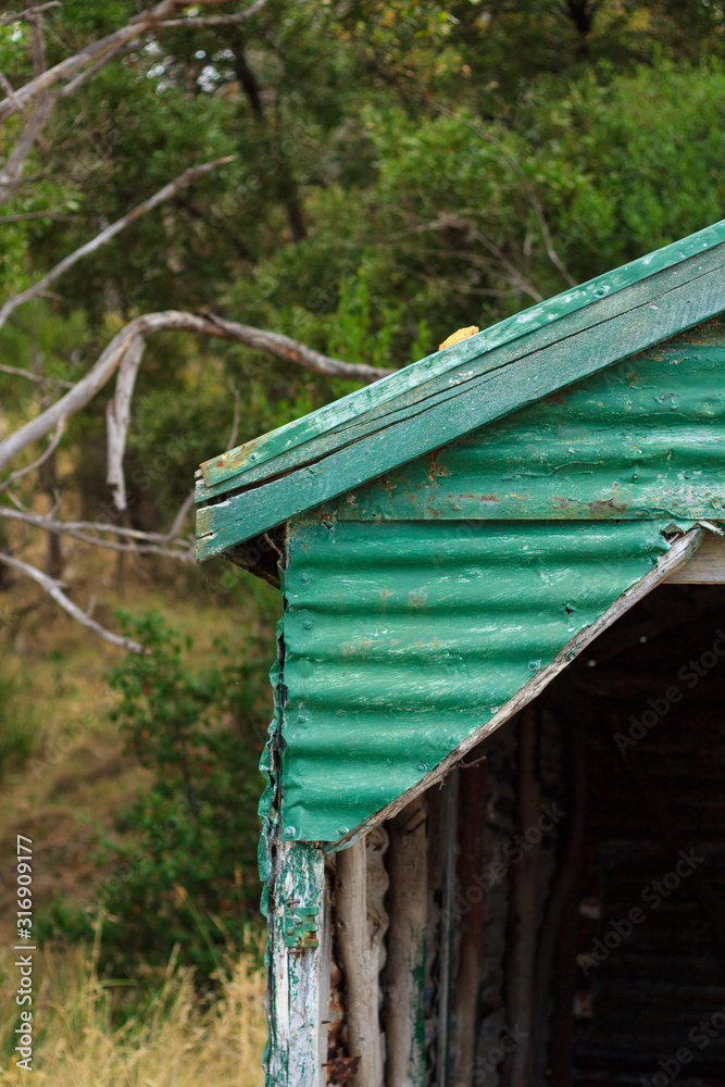 Green boat shed against trees Green boat shed against trees