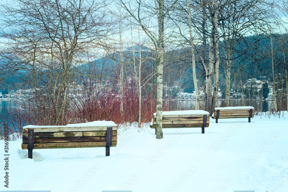 Resting place benches covered with snow flakes. Winter park .