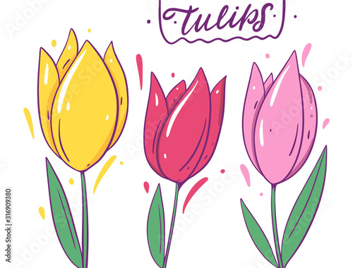 Yellow, red and pink tulips. Hand drawn vector illustration. Cartoon style with outline.