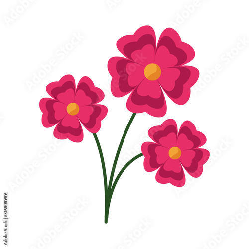 beautiful flowers icon  colorful design
