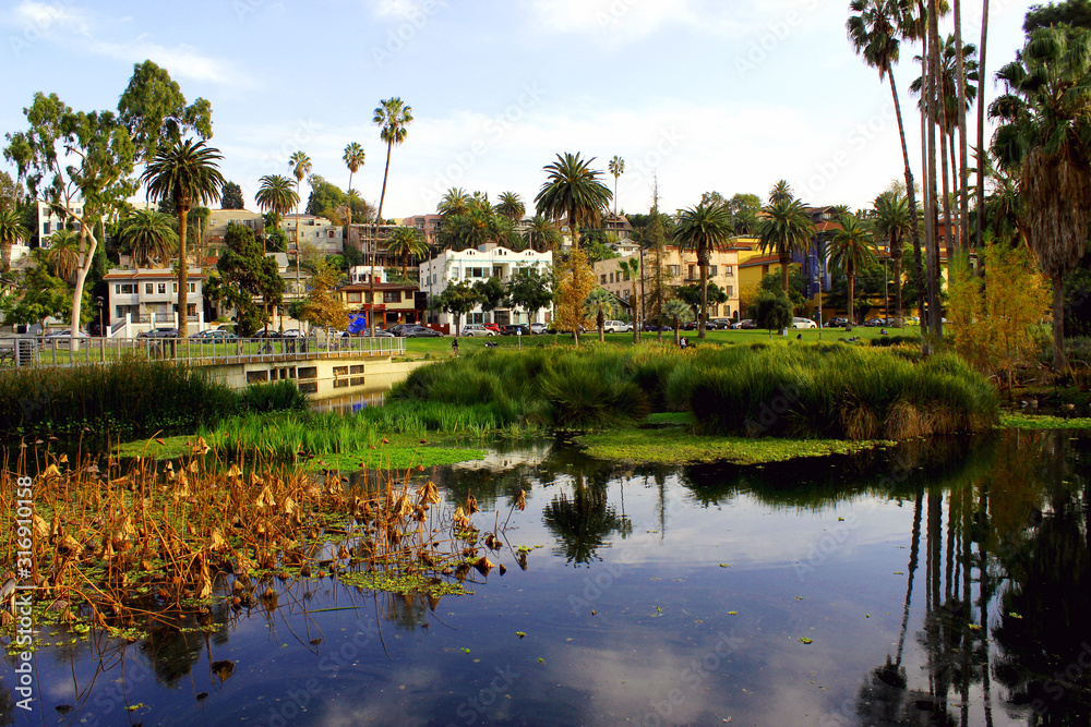 Echo Park. View of the city and apartment buildings across the lake in Echo Park. California Echo Park. View of the city and apartment buildings across the lake in Echo Park. California