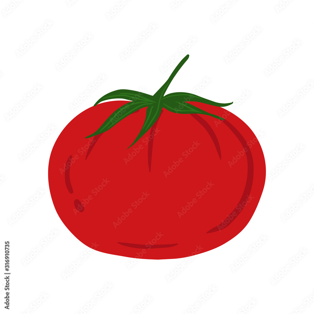 Tomato in hand drawn style isolated on white background. Tomato in hand drawn style isolated on white background.