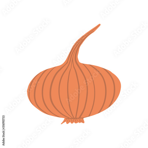 Hand drawn onion isolated on white background. Onion bulb vegetable