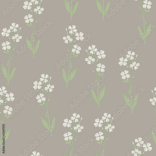 Seamless floral pattern with branches of white flowers. Hesperis Alba. Dame's Rocket. Sweet Rocket.