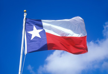 State Flag of Texas