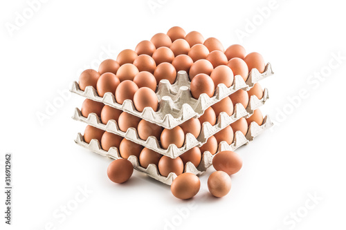 Fresh chicken eggs in pater tray isolated on white background