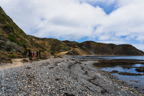 Landscape of Wellington, New Zealand; Scenic view from Makara beach photo