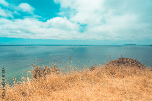 Landscape of Wellington, New Zealand; Scenic view from Makara beach