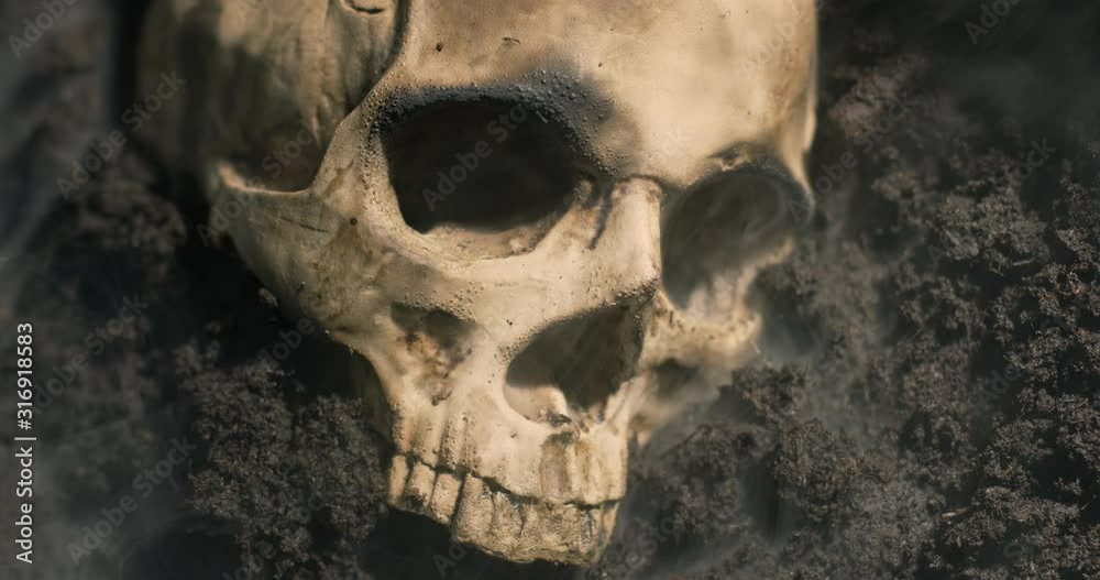 Human skull on the wet soild with smoke flowing
