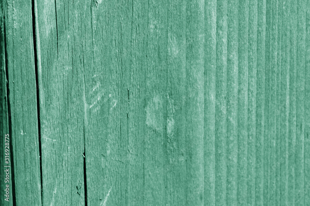 Wooden surface texture close up. Abstract background green color toned