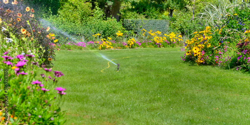 Fototapeta Naklejka Na Ścianę i Meble -  beautiful landscaped garden   watering in summer