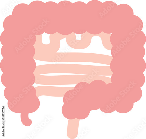 シンプルな腸のイラスト　内臓　/　消化器