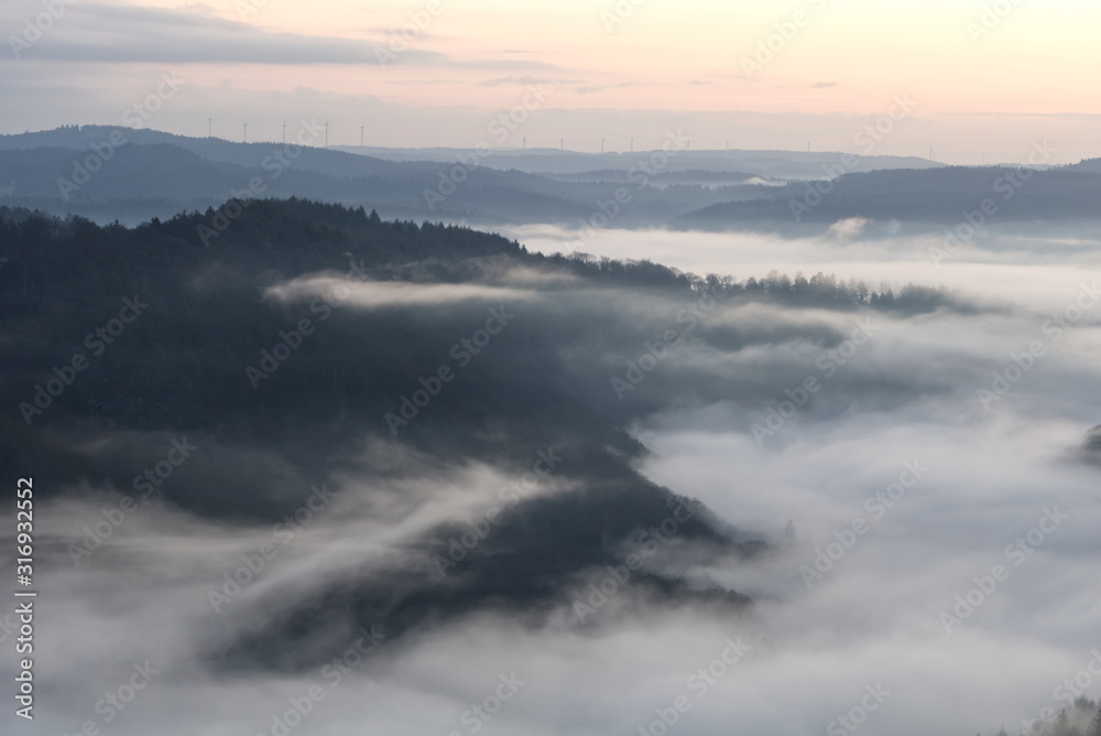 Foggy Sunrise Forest