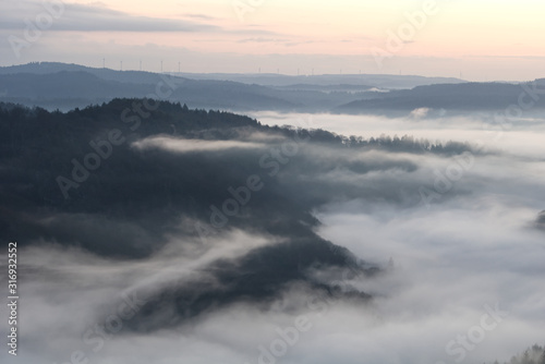 Fototapeta Naklejka Na Ścianę i Meble -  Foggy Sunrise Forest