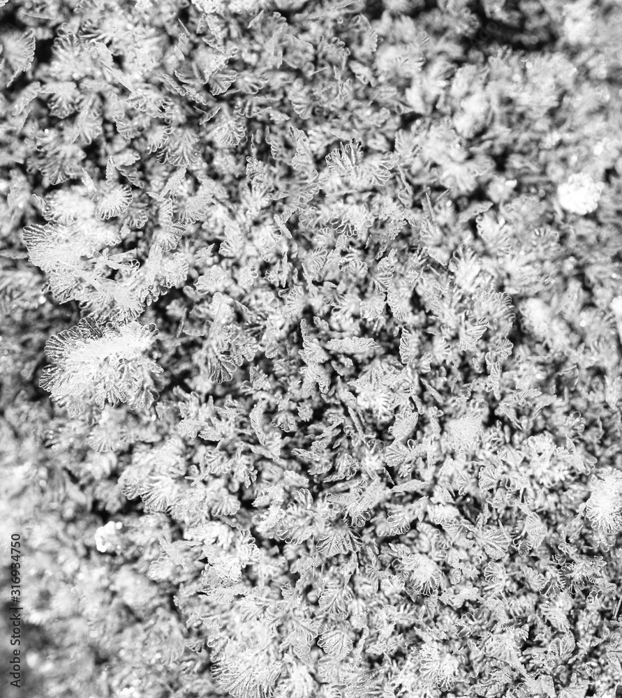 White snowflakes as abstract background White snowflakes as abstract background