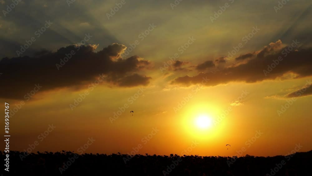 Paraglider flying against a sky over sunflower field at sunset Paraglider flying against a sky over sunflower field at sunset