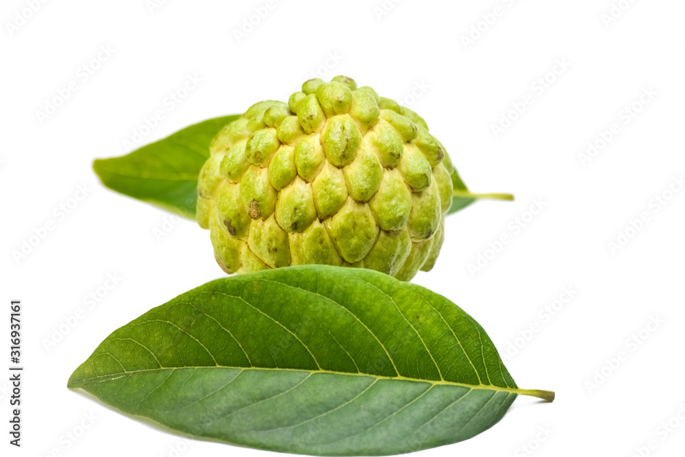 Fototapeta premium Sugar apple or custard apple with green leaf isolated on white background