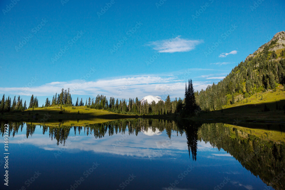 Mt Rainier