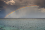 Marine Rainbow