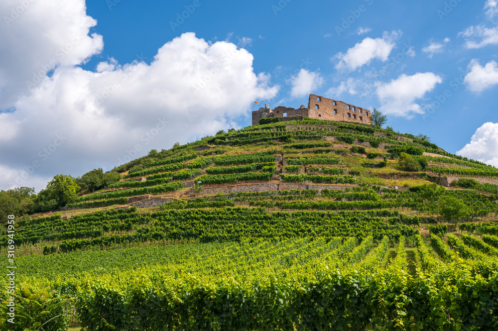View of the ruins of the castle in Staufen im Breisgau surrounded by vineyards in front of a bright blue sky