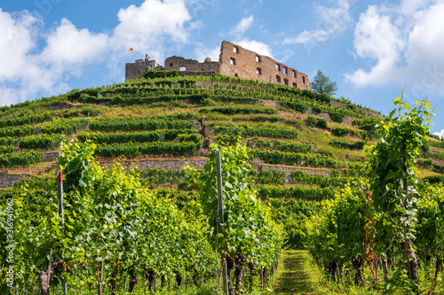 Beautiful view of the ruins of the castle in Staufen im Breisgau surrounded by vineyards in front of a bright blue sky