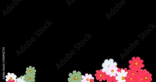 colorful flower freme with black background