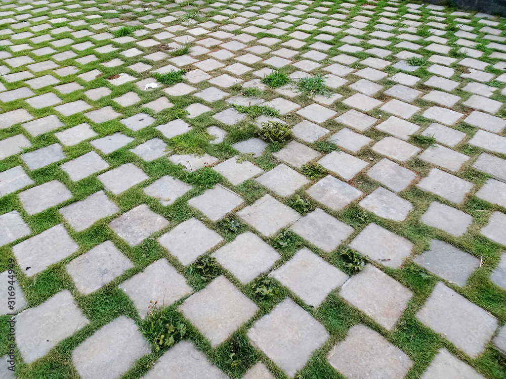 Fototapeta premium Rectangle-shaped paving blocks and green grass as landscape surface material