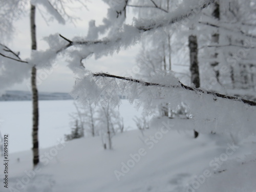 Winter landscape with frozen river and hoarfrost on tree branches