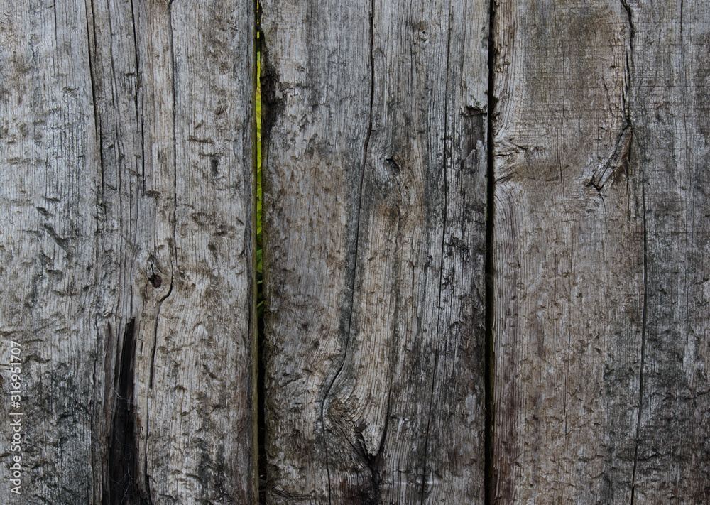 closeup of wooden boards from a fence closeup of wooden boards from a fence