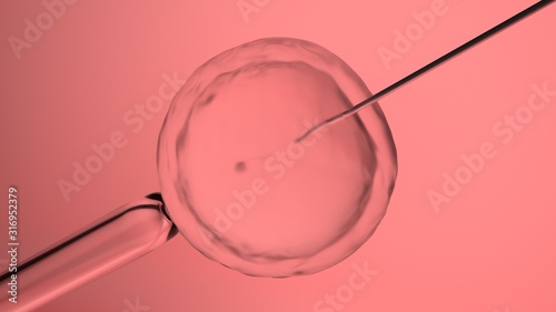 Fotografia In vitro fertilization or artificial insemination, 3D-rendering