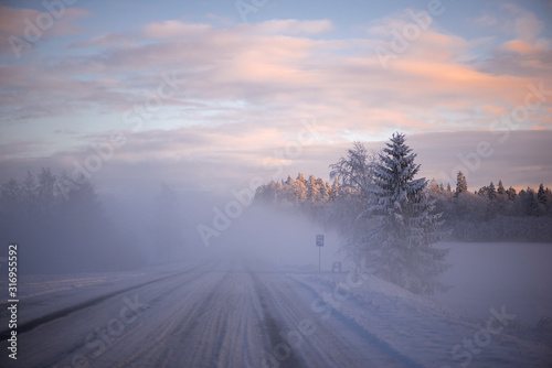 Winter cold morning landscape of nature Krimulda,Latvia © Zelma
