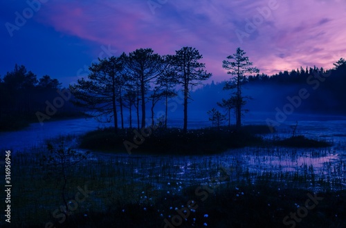 Bog island at night photo