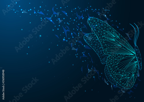 Naklejka Futurystyczny baner z pięknym świecącym niskim wielokąta siedzący motyl