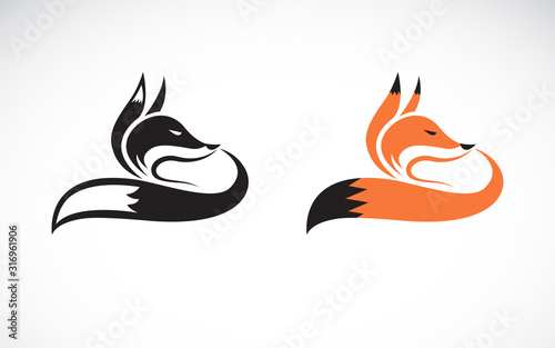 Vector of fox design on white background. Wild Animals. Easy editable layered vector illustration.