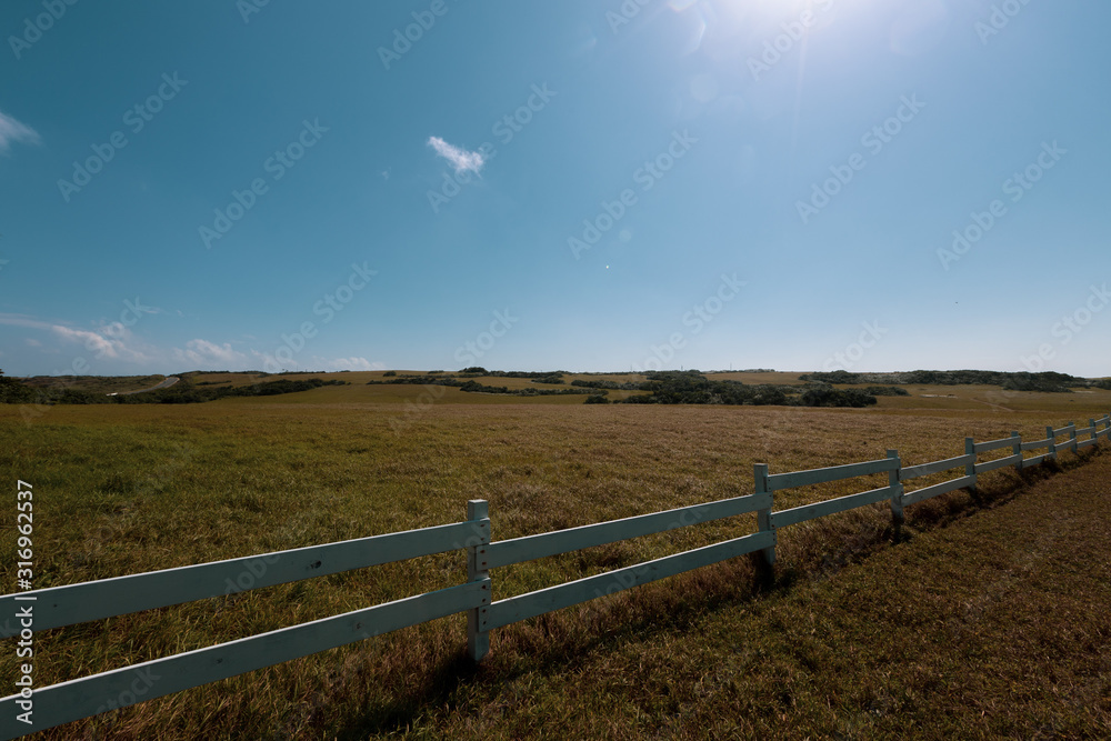 white fence