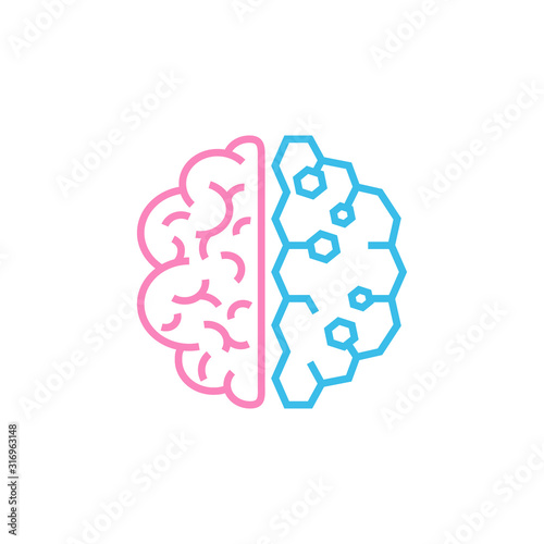Brain. The two halves of the whole brain of pink and blue. Man and woman thinking concept. Stock vector illustration isolated on white background.