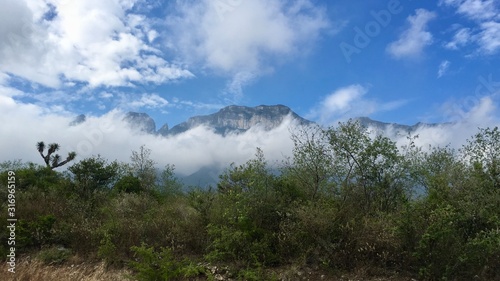 Mountains in Monterrey, México (ID: 316965159)